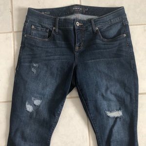 Torrid premium skinny jeans